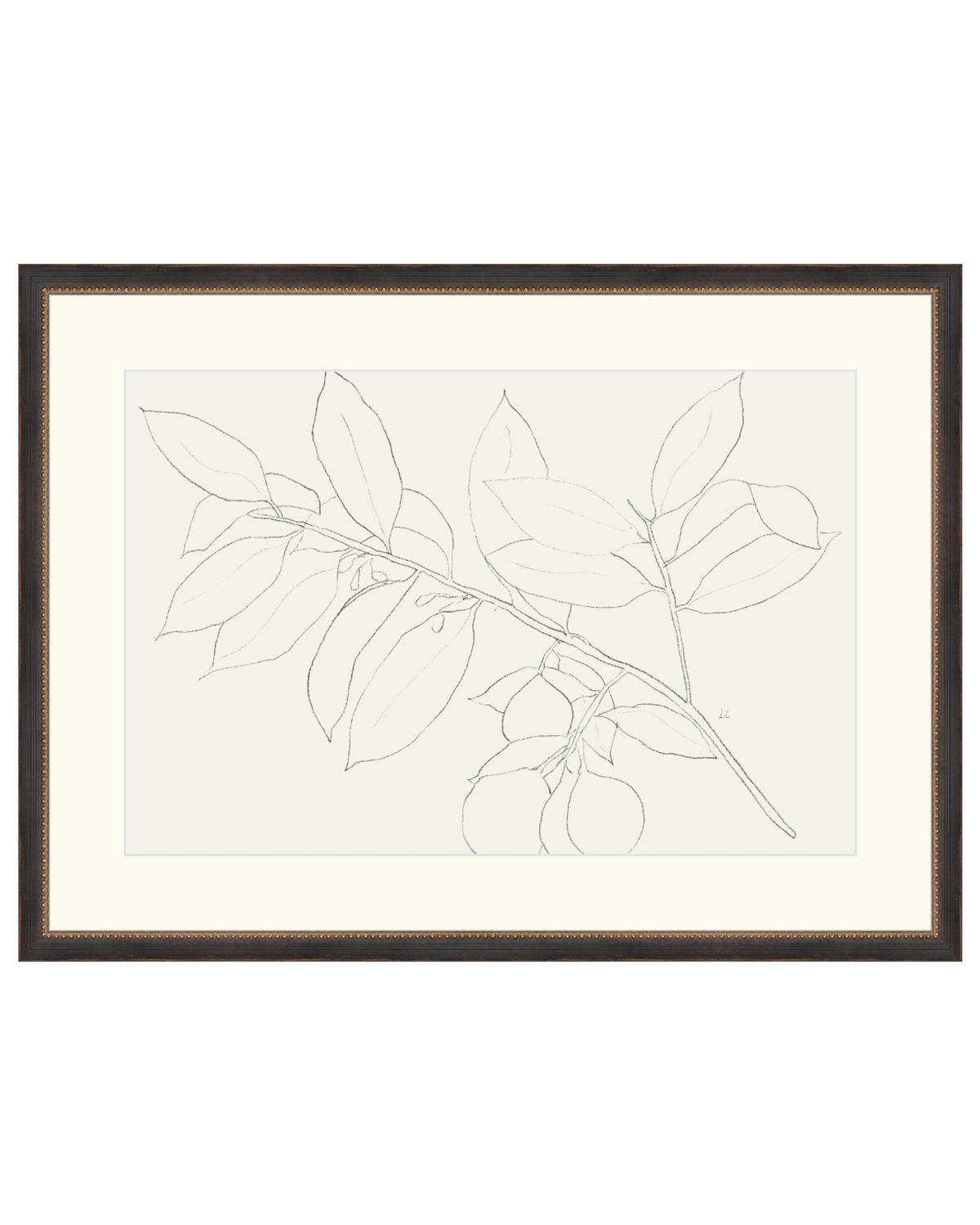 Lemon Branch Drawing, photo 42 of 42