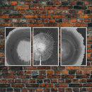 Tree Ring Prints, Lake House Large Wall Art, Boho Art, Minimalist, Farmhouse Art