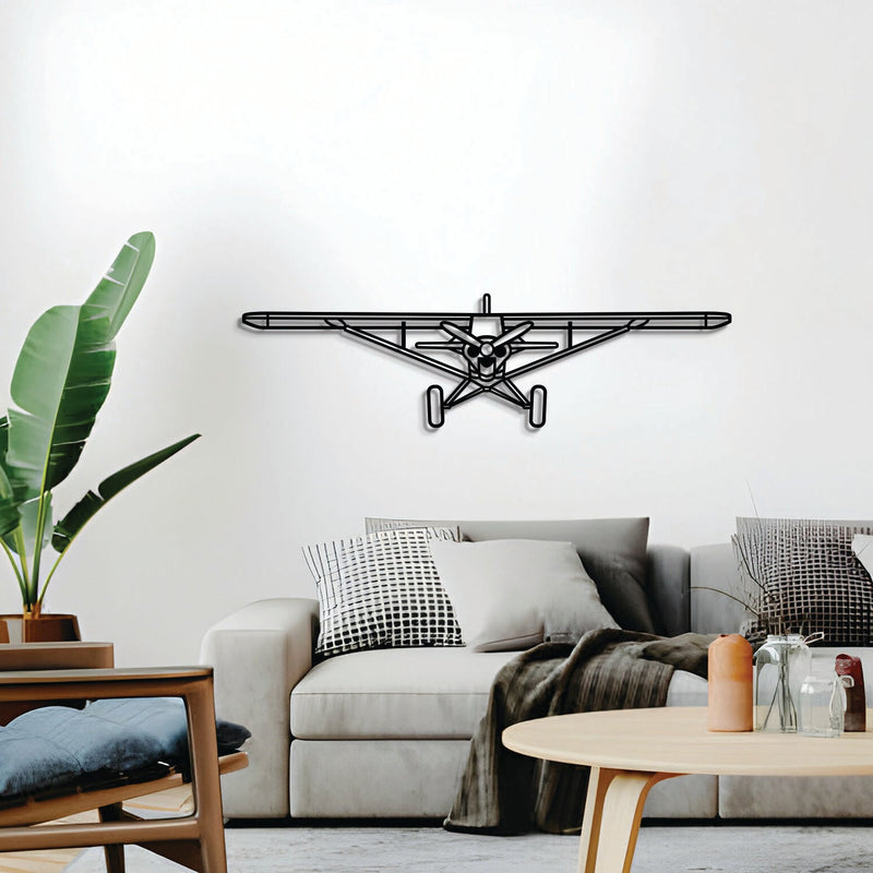 Carbon Cub Front Metal Aircraft Wall Art - NCP0535