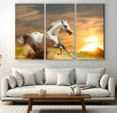 Large Wall Art Galloping White Horse at Sunset Canvas Print