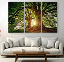 Majestic Ancient Tree Wall Art, NatureCanvas Print, Woodland by MyGreatCanvas | Canvas Wall Art Prints | Photo Prints & Wall Decor