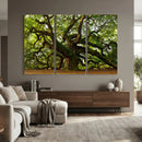 Angel Oak Tree Wall Art Canvas Print | Forest Tree Nature