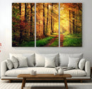 Sunlight Through Trees Wall Art Canvas Print - Autumn Forest