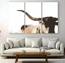 Texas Longhorn Wall Art Canvas Print | 3-Panel Large