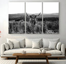 Black and White Highland Cow Canvas Wall Art, Longhorn by MyGreatCanvas | Canvas Wall Art Prints | Photo Prints & Wall Decor