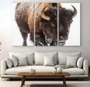 Bison Wall Art Canvas Print For Farmhouse, Wild Animal Wall by MyGreatCanvas | Canvas Wall Art Prints | Photo Prints & Wall Decor