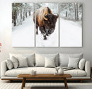 Bison Wall Art Canvas Print For Farmhouse, Animal Canvas