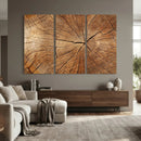 Tree Ring Canvas Art, Rustic Wood Grain Wall Art, Tree Slice