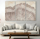 Tree Ring Wall Art Triptych, Rustic Wood Ring Canvas Print,