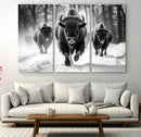 Buffalo Wall Art Canvas Print, Bison Family Wall Art Canvas by MyGreatCanvas | Canvas Wall Art Prints | Photo Prints & Wall Decor