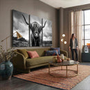 Scottish Cow Wall Art Canvas Print | Longhorn Wall Art |
