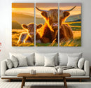 Scottish Cow and Baby Cow Canvas Wall Art Animal Print