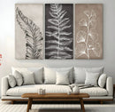 Minimalist Botanical Wall Art Canvas Print, Framed and Ready