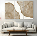 Rustic Brown Tree Ring Wall Art Canvas Print – Framed and