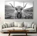 Black White Scottish Highland Cow Canvas Farm Wall Art