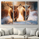 Scottish Highland Cow Horn Farm Wall Art Canvas Print by MyGreatCanvas | Canvas Wall Art Prints | Photo Prints & Wall Decor