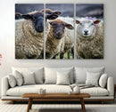 Charming Sheep Portrait Wall Art – Trio of Woolly Companions by MyGreatCanvas | Canvas Wall Art Prints | Photo Prints & Wall Decor