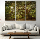 Ancient Angel Oak Tree Art Sunburst Canvas Print-