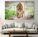 Leopard on the Prowl - Stunning Large Framed Leopard Wall
