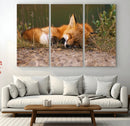 Sleeping Fox Wall Art Canvas Print, Farmhouse Wall Decor and