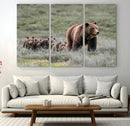 Wildlife Photography of 399 Grizzly Bear Cubs | Queen of the by MyGreatCanvas | Canvas Wall Art Prints | Photo Prints & Wall Decor