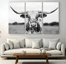 Highland Cow Wall Art Canvas Print – Black and White Western