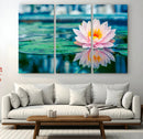 Lotus Flower Wall Art Canvas Print, Water Lily Large Wall