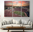 Indiana Memorial Stadium Wall Art Canvas Print, Framed