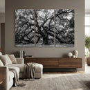 Black and White Old Angel Oak Tree Wall Art Canvas Print by MyGreatCanvas | Canvas Wall Art Prints | Photo Prints & Wall Decor