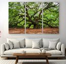Majestic Oak Tree Wall Art Canvas Print – Ancient Branches by MyGreatCanvas | Canvas Wall Art Prints | Photo Prints & Wall Decor