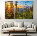 Forest Sunset Wall Art Canvas Print, Glowing Evening Light by MyGreatCanvas | Canvas Wall Art Prints | Photo Prints & Wall Decor