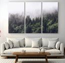 Misty Forest Wall Art Canvas Print – Foggy Pines Pine Valley