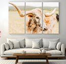 Texas Longhorn Wall Art Canvas Print – Framed Spotted Cow
