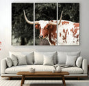 Texas Longhorn Wall Art Canvas Print – Framed Spotted Bull