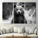 Grizzly Bear Wall Art Canvas Print – Framed Black White