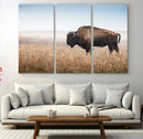 Wild Bison Wall Art – Framed Prairie Landscape Canvas by MyGreatCanvas | Canvas Wall Art Prints | Photo Prints & Wall Decor