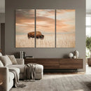 MyCanvas -
