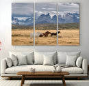 Grand Teton Park Wild Horses Wall Art Canvas Print – Framed