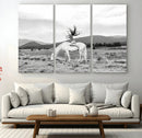 White Horse Wall Art Canvas Print – Framed Woman Rider