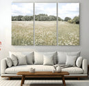 Charming Daisy Field Wall Art Canvas Print – Framed Pastel