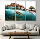 Sea Turtle Wall Art Canvas Print – Framed Ocean Life