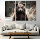 Brown Bear Wall Art Canvas Print – Framed Majestic Woodland