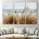 Beach Grass Wall Art – Framed Coastal Dunes Canvas Artwork, by MyGreatCanvas | Canvas Wall Art Prints | Photo Prints & Wall Decor