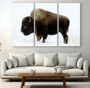 Bison Wall Art Canvas Print – Framed Western Wildlife by MyGreatCanvas | Canvas Wall Art Prints | Photo Prints & Wall Decor