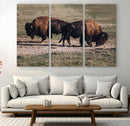 Bison Wall Art Canvas Print – Framed Western Wildlife Modern by MyGreatCanvas | Canvas Wall Art Prints | Photo Prints & Wall Decor