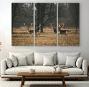 Deer Wall Art Canvas Print – Framed Rustic Wildlife Stags