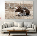 Texas Longhorn Wall Art Canvas Print – Framed Country Living
