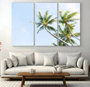 Palm Trees Wall Art Canvas Print – Framed Tropical Coastal
