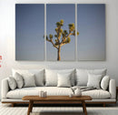 Joshua Tree Wall Art Canvas Print – Framed Southwestern