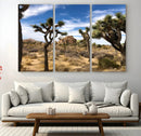 Joshua Tree Desert Wall Art Canvas Print – Framed by MyGreatCanvas | Canvas Wall Art Prints | Photo Prints & Wall Decor